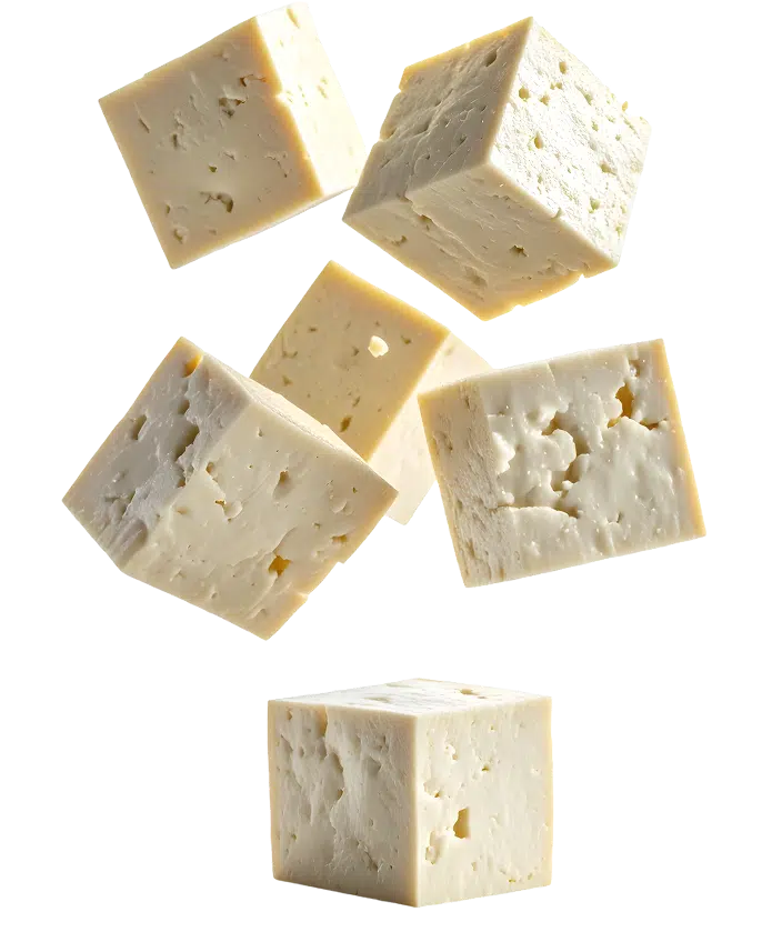 SGM Soya Paneer